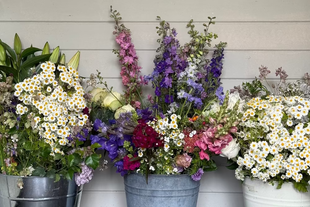 a trio of buckets full of beautiful homegrown flowers in flower farm floristry workshop in Burscough, Ormskirk, Lancashire picture by Millie Rose Content