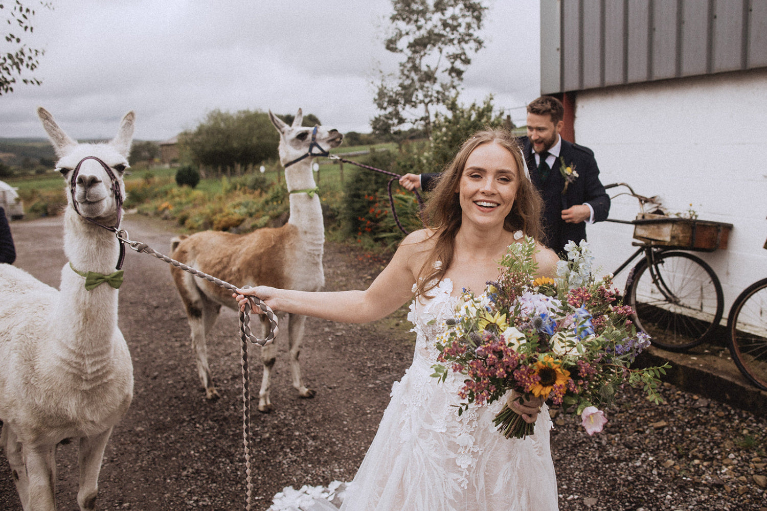 Wedding flowers at Wellbeing Farm, bride and groom flowers with Llamas