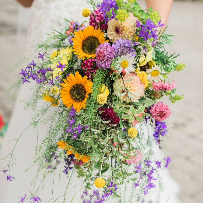 A cascading, shower shape handtied bridal bouquet in mainly British flowers. Bright meadow colours, wildflower style.