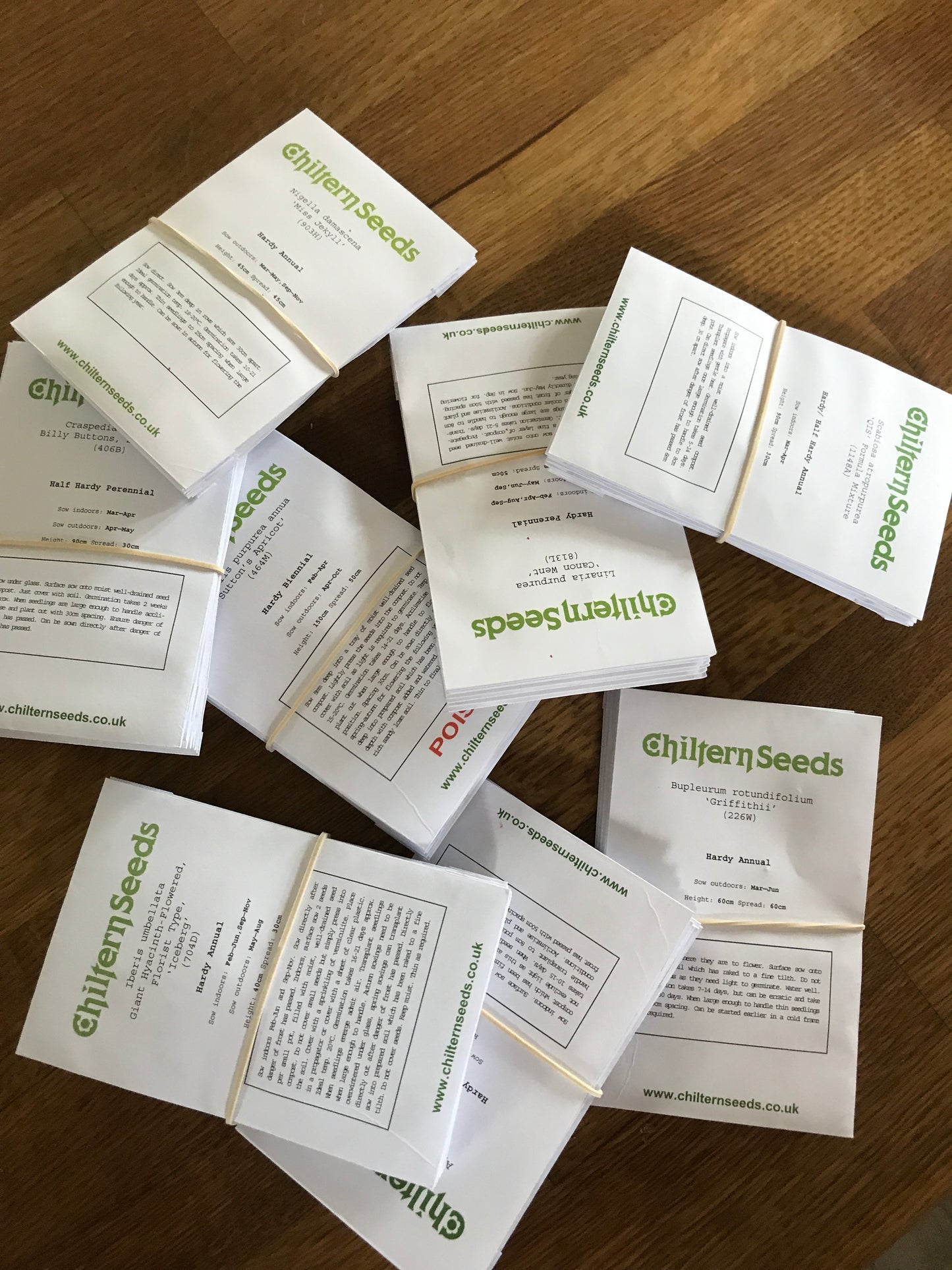 Beginners Flower Growing Workshop