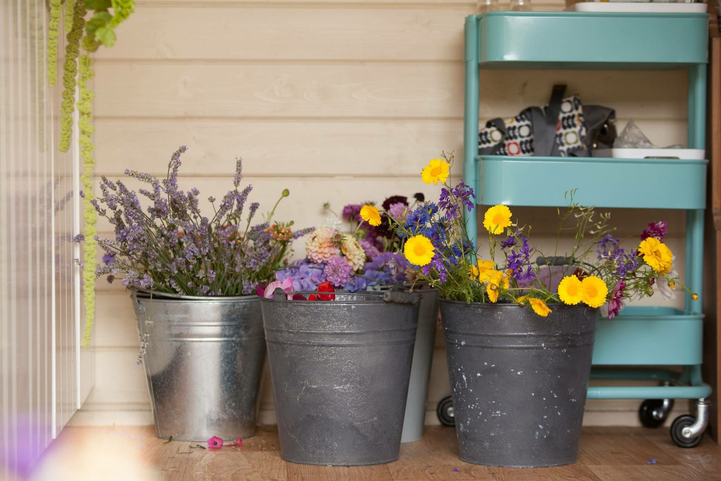 Beginners Flower Growing Workshop