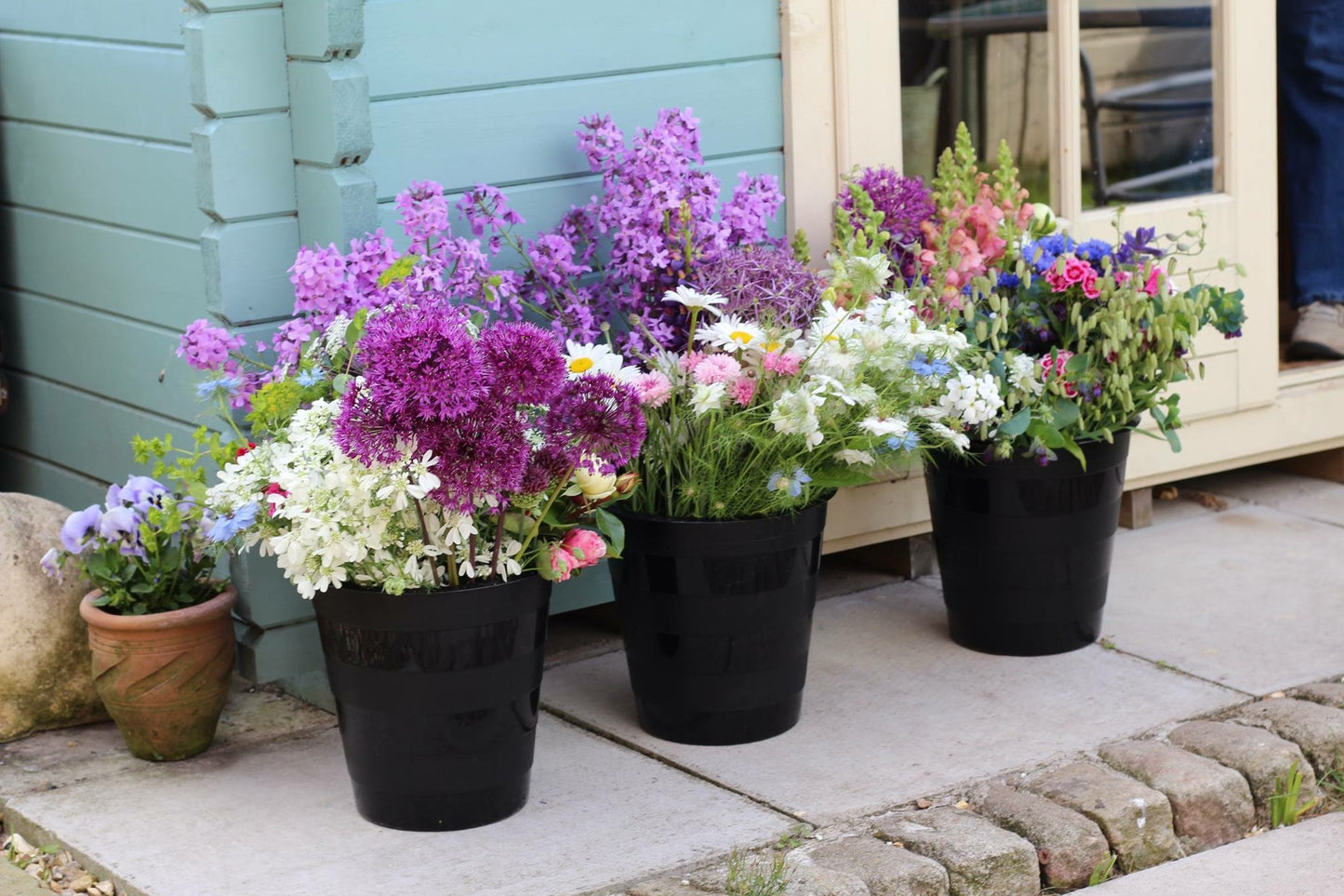 Beginners Flower Growing Workshop