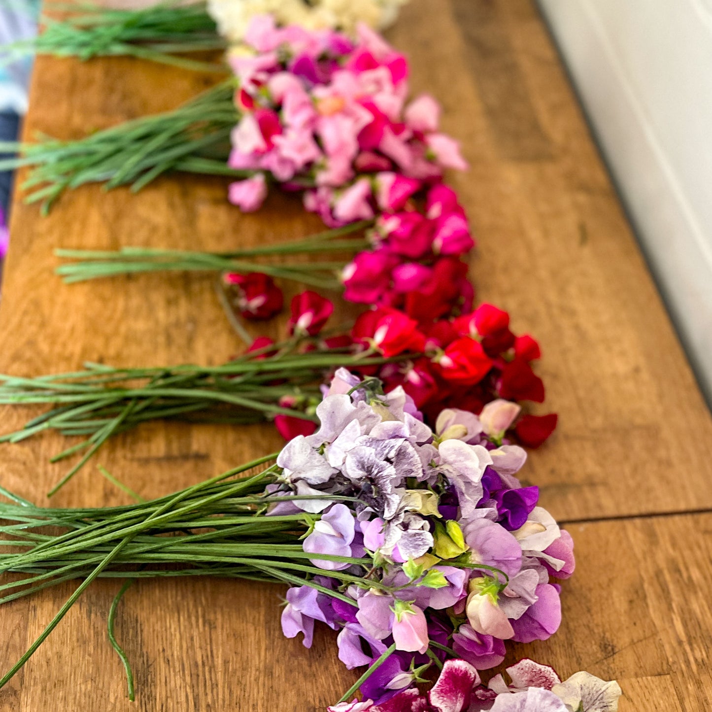 Beginners Flower Growing Workshop